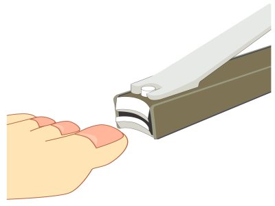 爪切り両足のイメージ